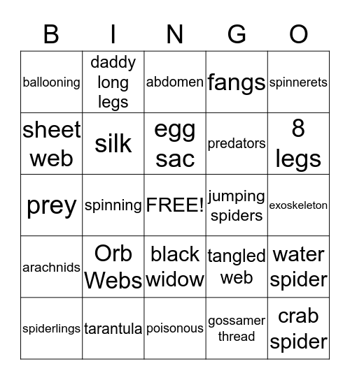 Spiders Bingo Card