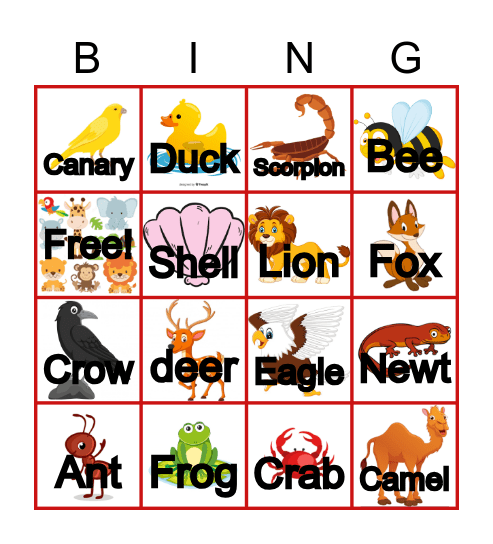 Animals Classification Bingo Card