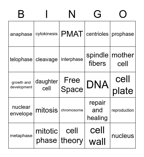 Mitosis Bingo Card