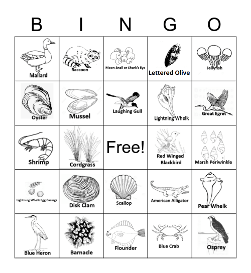 Marsh Muncher Bingo Card