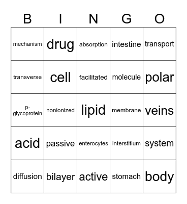 lesson 3a Bingo Card
