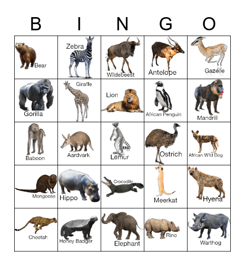 Safari Animals Bingo Card