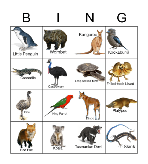 Animals in Australia Bingo Card