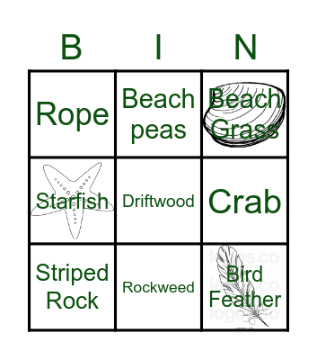 Beach Bingo Card