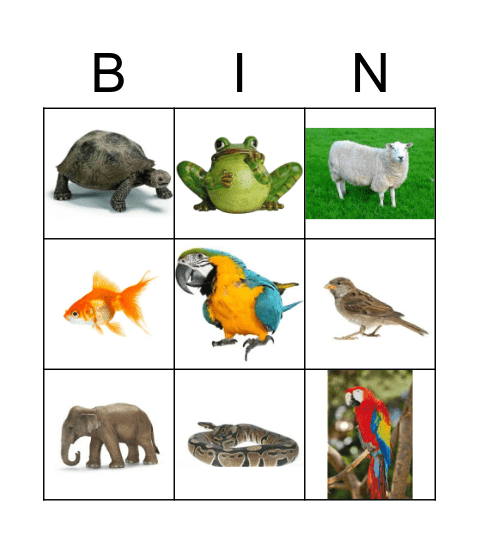 dieren Bingo Card