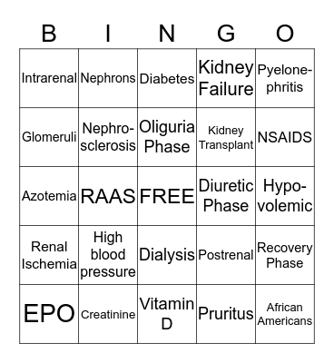 All about the Kidneys Bingo Card