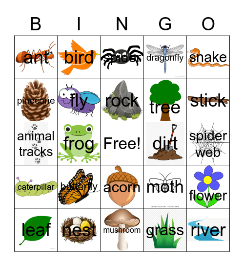 Nature Bingo Card