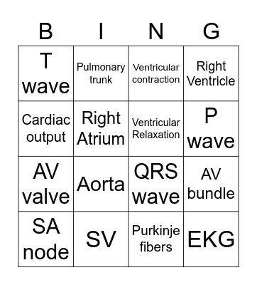 Anat 41 Heart Bingo 2 Bingo Card