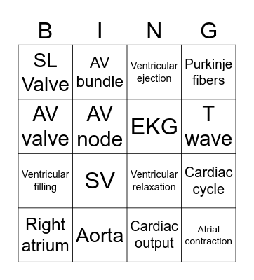 Anat 41 Heart Bingo 3 Bingo Card