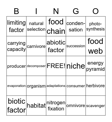 Ecosystem Bingo Card