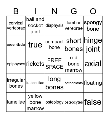 Skeleton System  Bingo Card