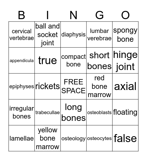 Skeleton System  Bingo Card