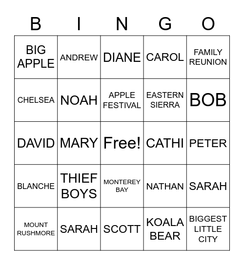 POPPIPALOOSA BINGO 1 Bingo Card