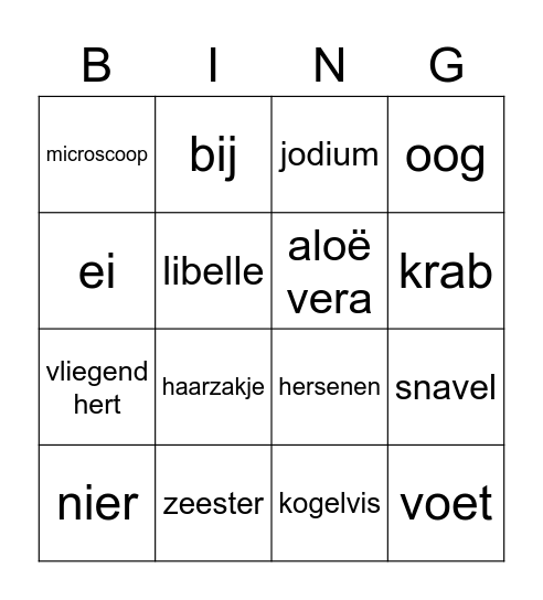 Zoek de volgende voorwerpen in het lokaal. Bingo Card