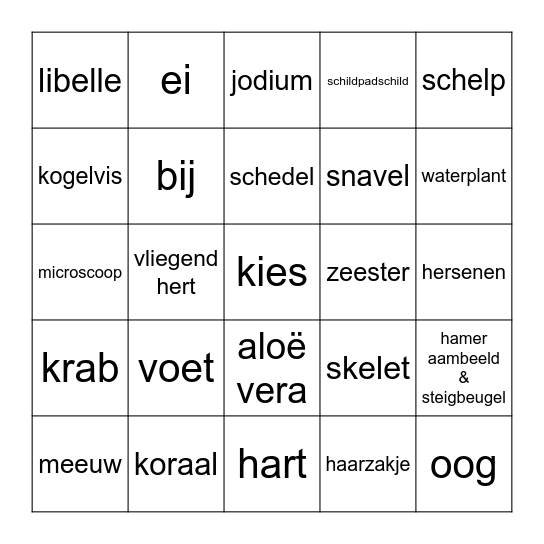 Zoek de volgende voorwerpen in het lokaal. Bingo Card