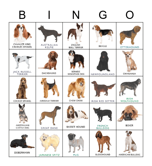 dogs-bingo-card