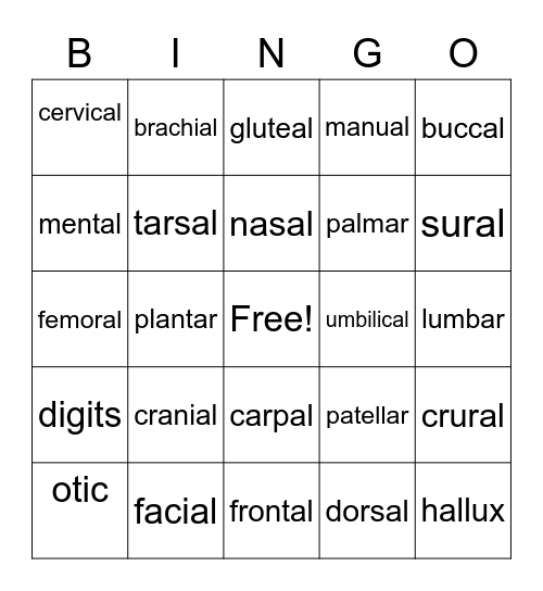 Regional Terms Bingo Card