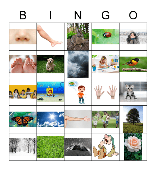 S1 Language Review Bingo Card