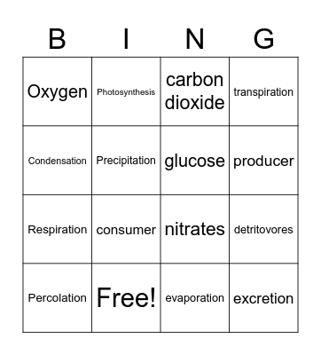 Miss Webb's Ecology Bingo Card