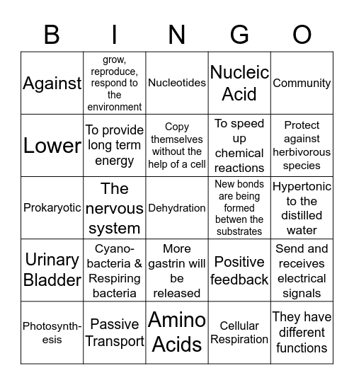 2nd Six Weeks Assessment Bingo Review (A) Bingo Card