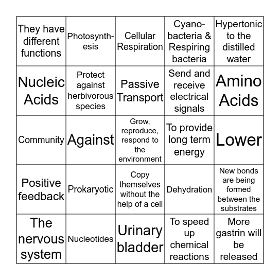 2nd Six Weeks Assessment Bingo Review (B) Bingo Card