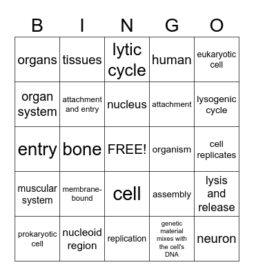 B.10C/B.4A/B.4C Bingo Card
