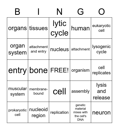 B.10C/B.4A/B.4C Bingo Card