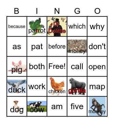 2nd gr. Sight Words/Dr. Dolittle (Chapter 1) Bingo Card