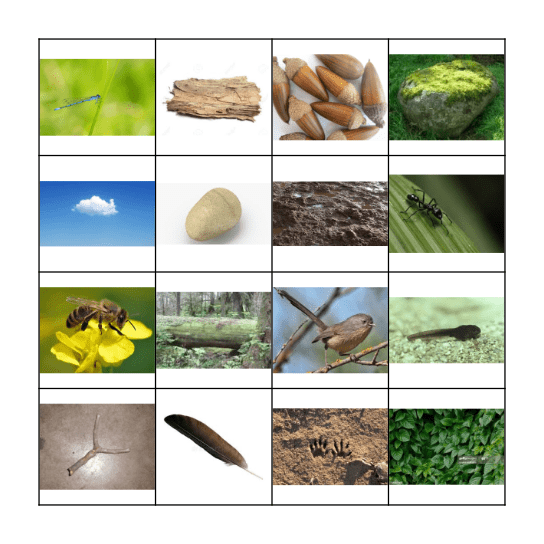 Nature Scavenger Hunt Bingo Card