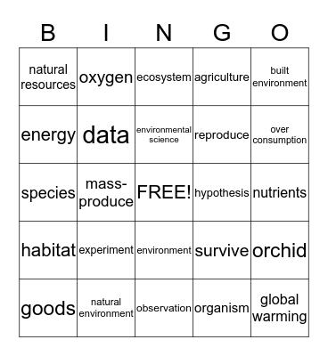 Chapter 1 Vocabulary Review Bingo Card