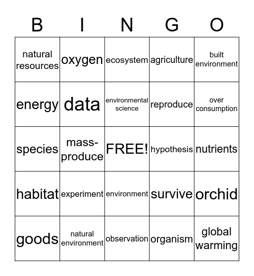 Chapter 1 Vocabulary Review Bingo Card