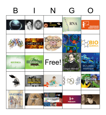 Bingo Ensino de Biologia Bingo Card