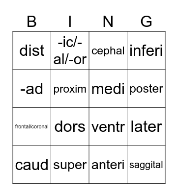 Body Directions Bingo Card