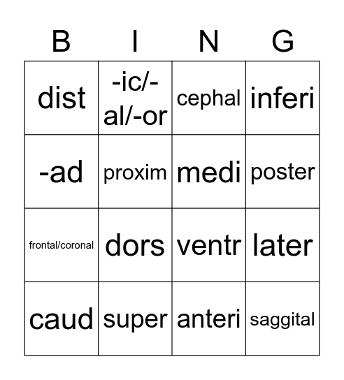 Body Directions Bingo Card