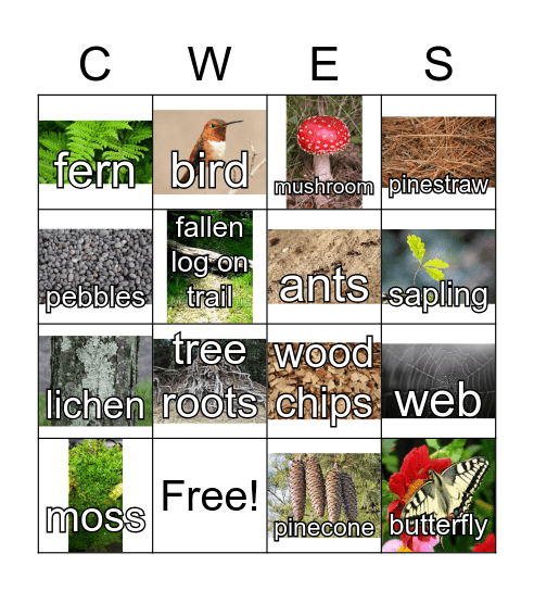 CWES Trails Bingo Card