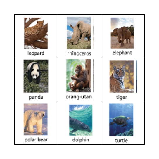 Endangered Animals Bingo Fun!! Bingo Card