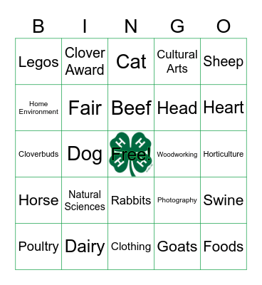 Lake Ripley 4-H Bingo Card