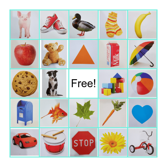 What am I? Bingo Card