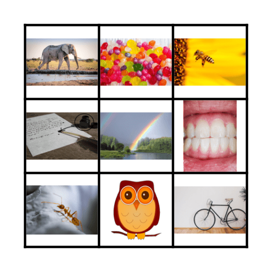 Vowel Sound Match Bingo Card