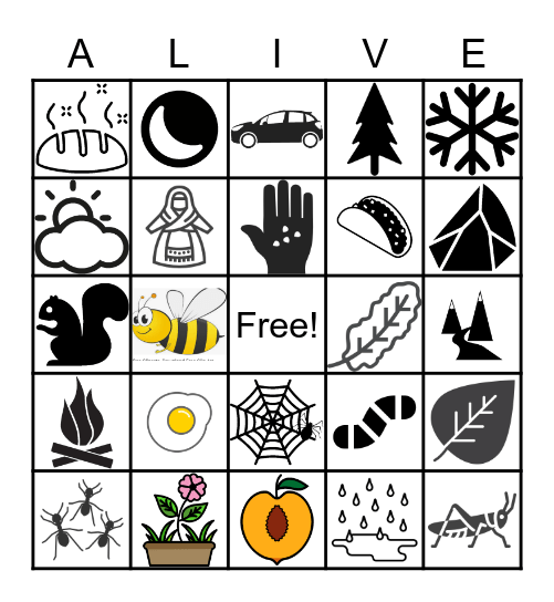 Roots + Wings Living and Non-Living Bingo Card