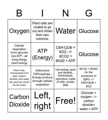 Photosynthesis/Respiration Bingo Card