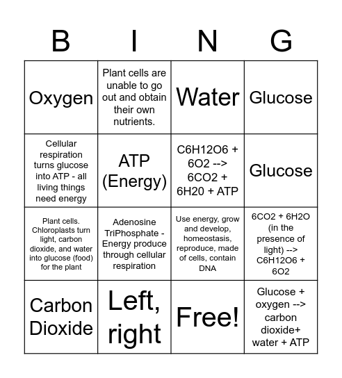 Photosynthesis/Respiration Bingo Card