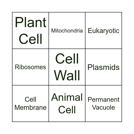 Prokaryotic and Eukaryotic Cells Bingo Card