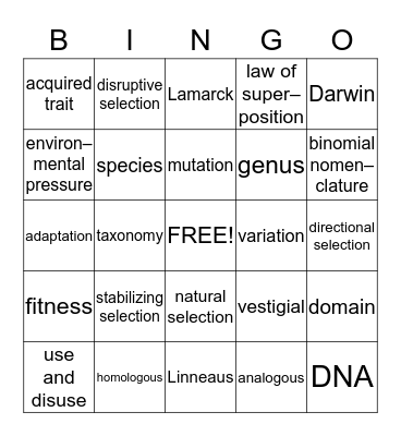 Classification and Evolution Bingo Card