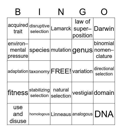 Classification and Evolution Bingo Card