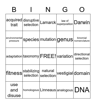 Classification and Evolution Bingo Card