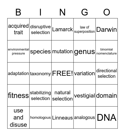 Classification and Evolution Bingo Card