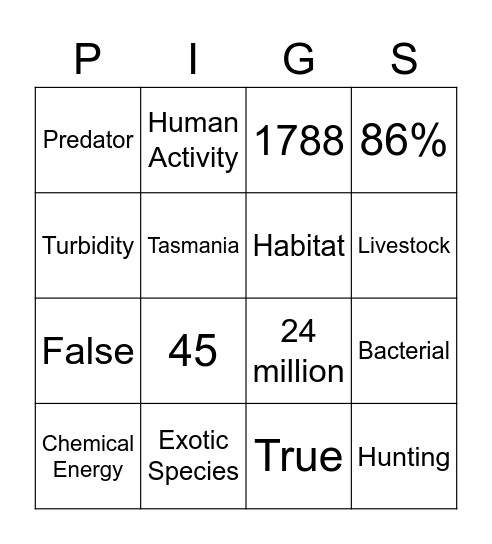 Feral Pigs Bingo Card