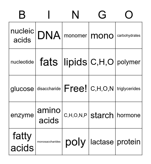 Intro to Macromolecules Bingo Card