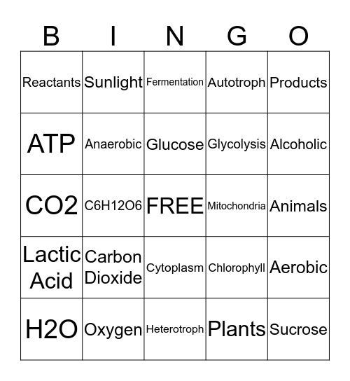 Cellular Respiration and Photosynthesis Bingo Card